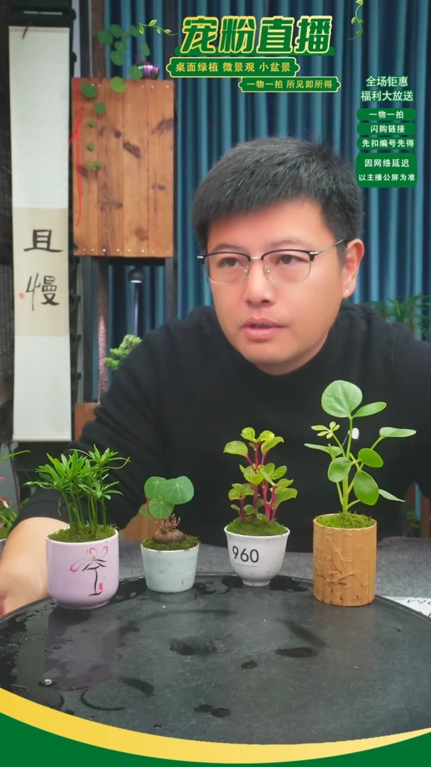 无花朵不***名苔藓微景观960号