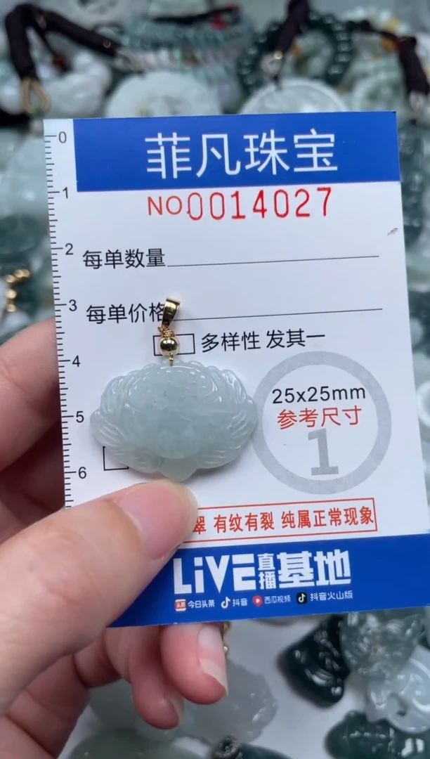 颈饰未镶嵌翡翠14027