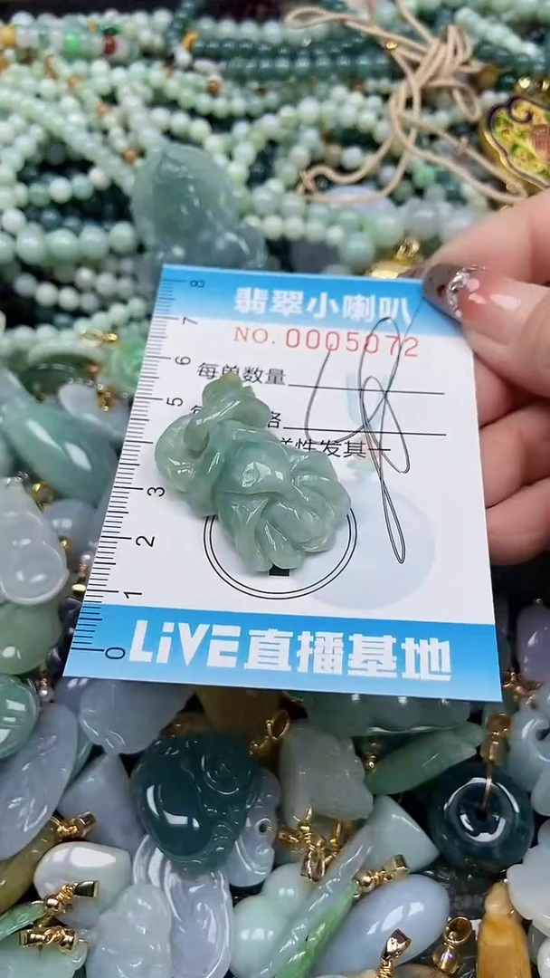 【闪购商品】翡翠颈饰未镶嵌闪购0000572多样性发其一