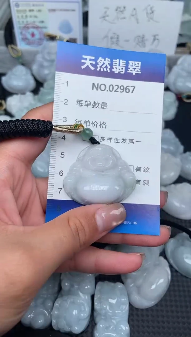 颈饰未镶嵌翡翠纯天然A货翡翠2967