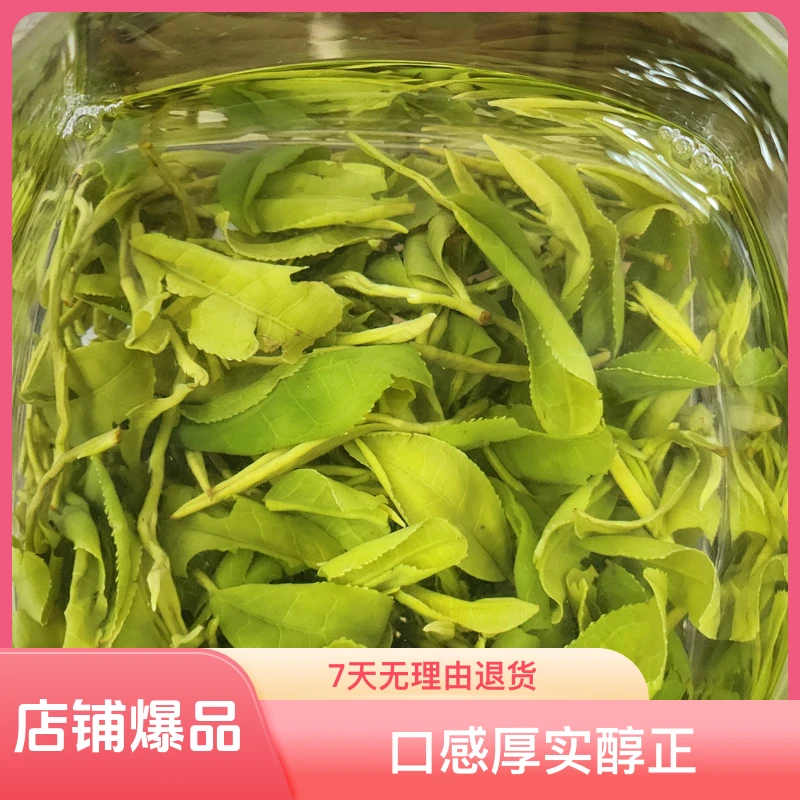 2025日照绿茶新茶/味道鲜爽，口感清甜，香气扑鼻