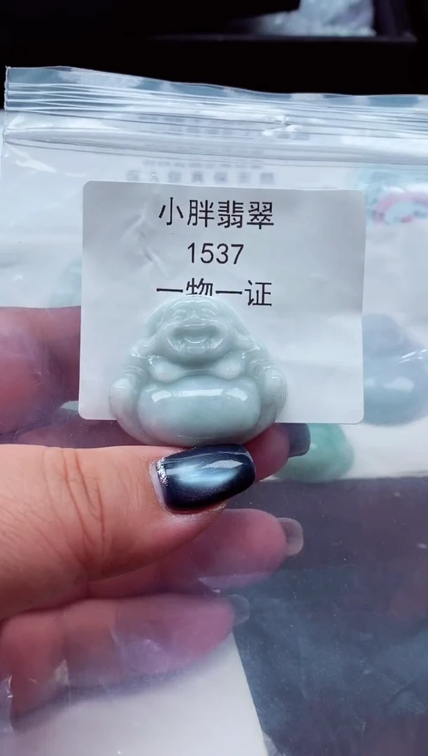 颈饰未镶嵌翡翠缅甸天然A货翡翠1537