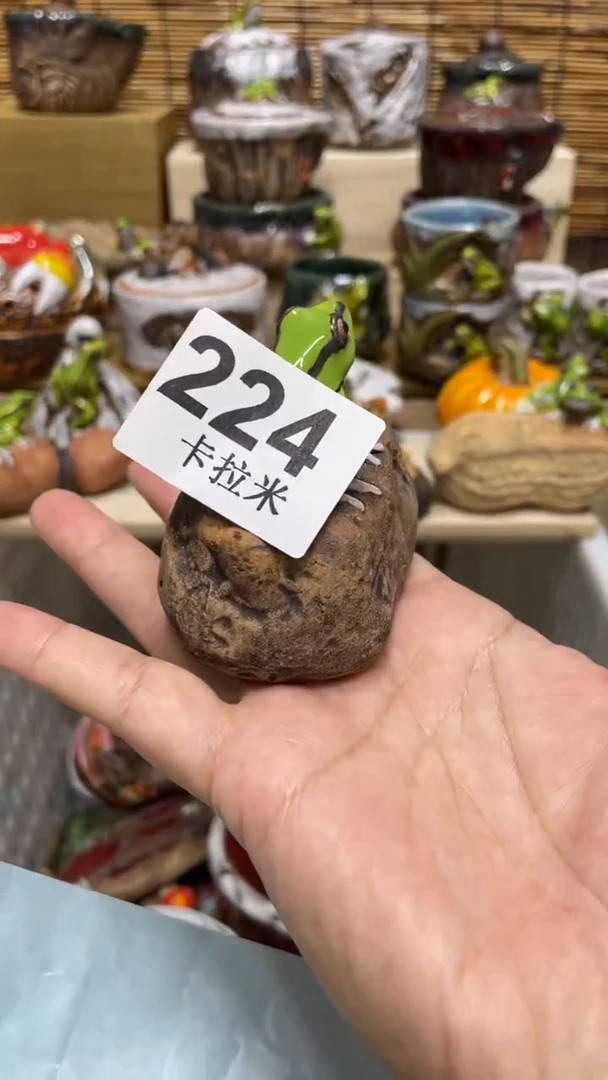 乾*224精美粗陶手工柴烧