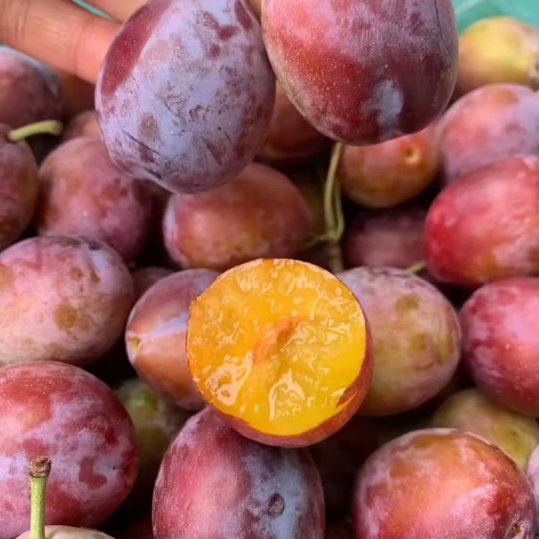 都乐西梅一盒一斤