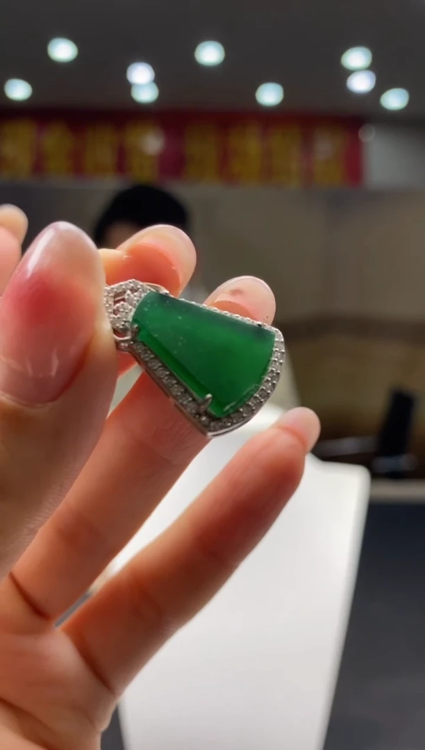 【闪购商品】翡翠颈饰未镶嵌********75