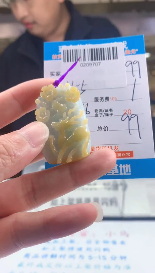 颈饰未镶嵌翡翠天然翡翠A货拍一发一