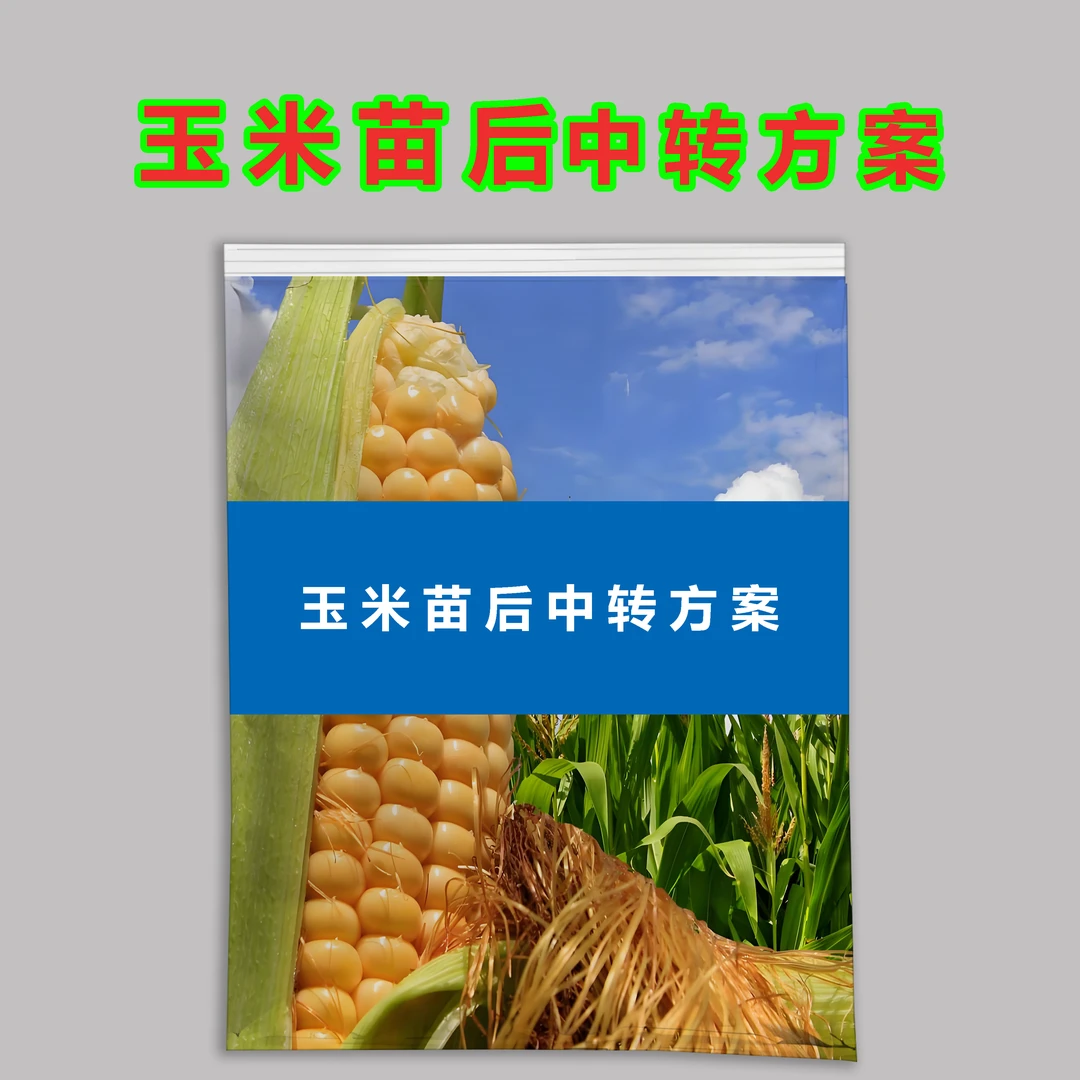 玉米苗后草中转方案不影响玉米作物正常生长玉米专用田埂有机肥料