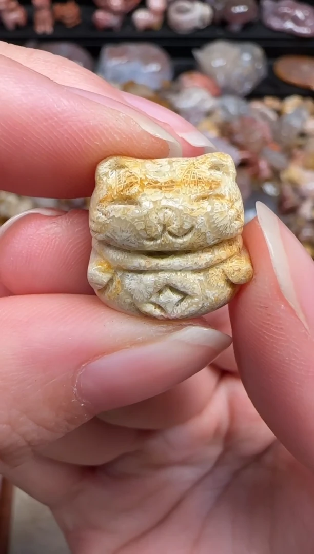 颈饰未镶嵌硅化珊瑚（珊瑚玉）765