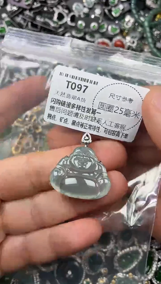 翡翠未镶嵌颈饰T097有棉团