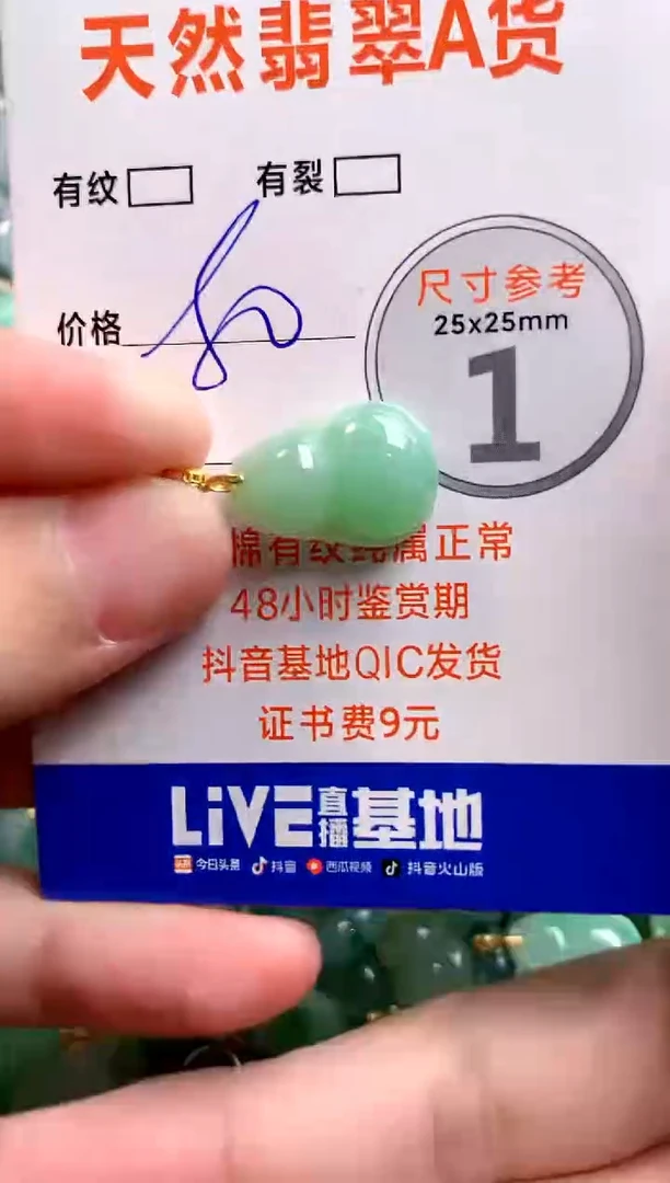 颈饰未镶嵌翡翠14004219