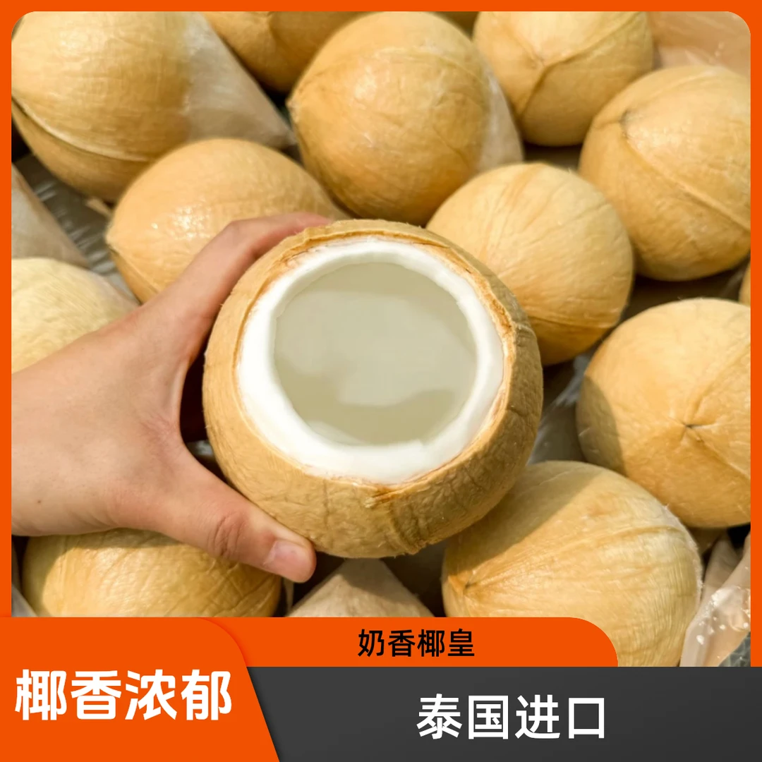【小时达】泰国进口奶香椰皇 椰香浓郁 口感清甜5-15颗单果450-600g椰青的爸爸叫椰皇