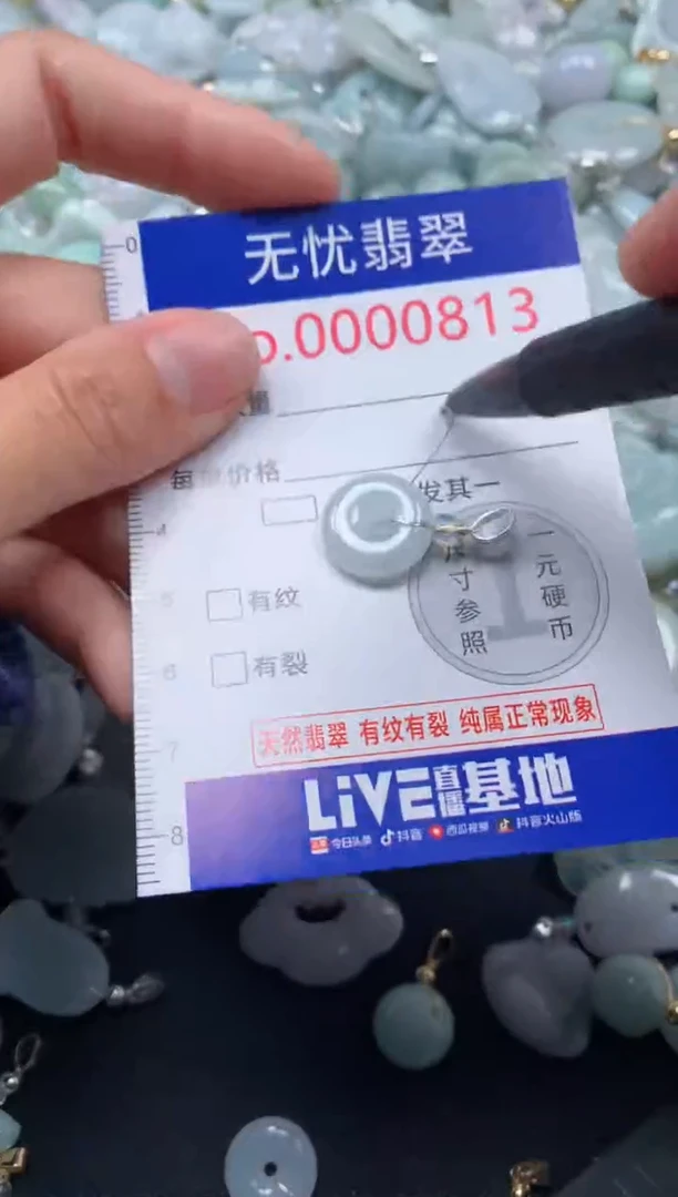 颈饰未镶嵌翡翠813