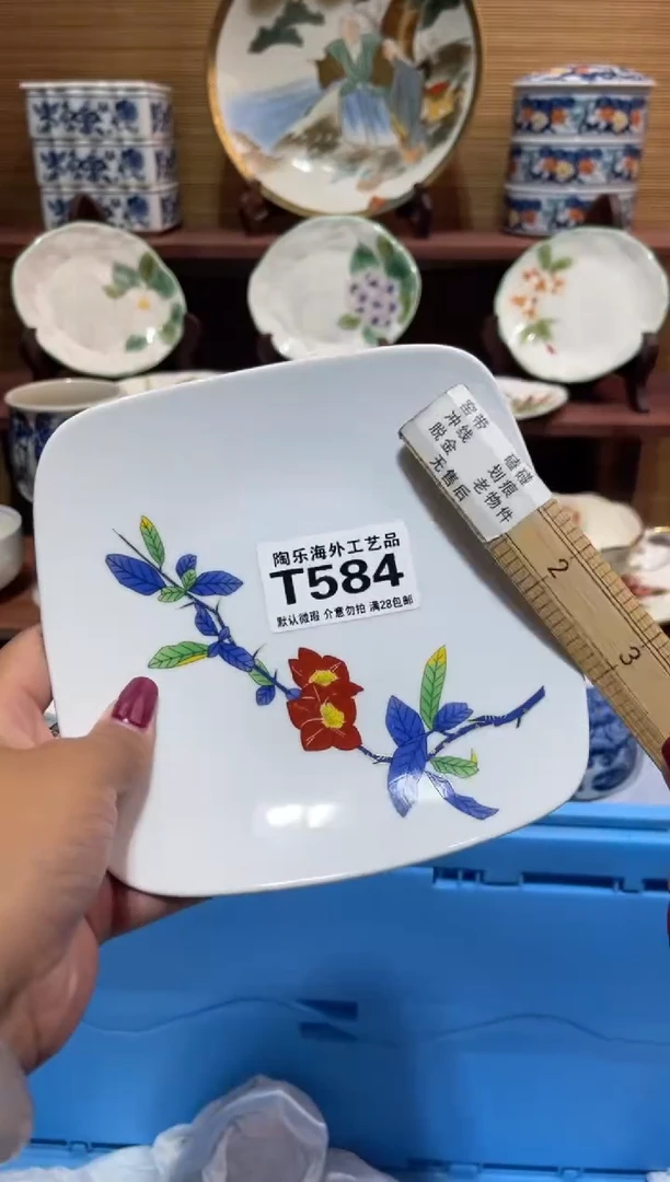 其他品**雨      T584