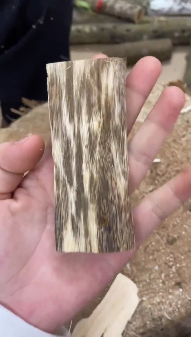 沉香沉香碎屑棋楠沉香 原料文创1