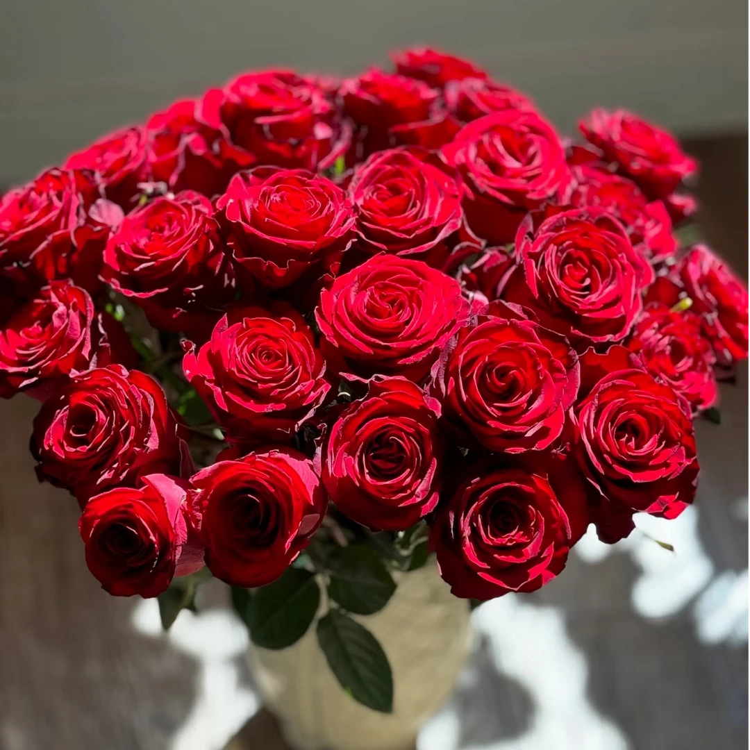 【顺丰发货】高原红玫瑰520 家用鲜花直播间现场直播卖花