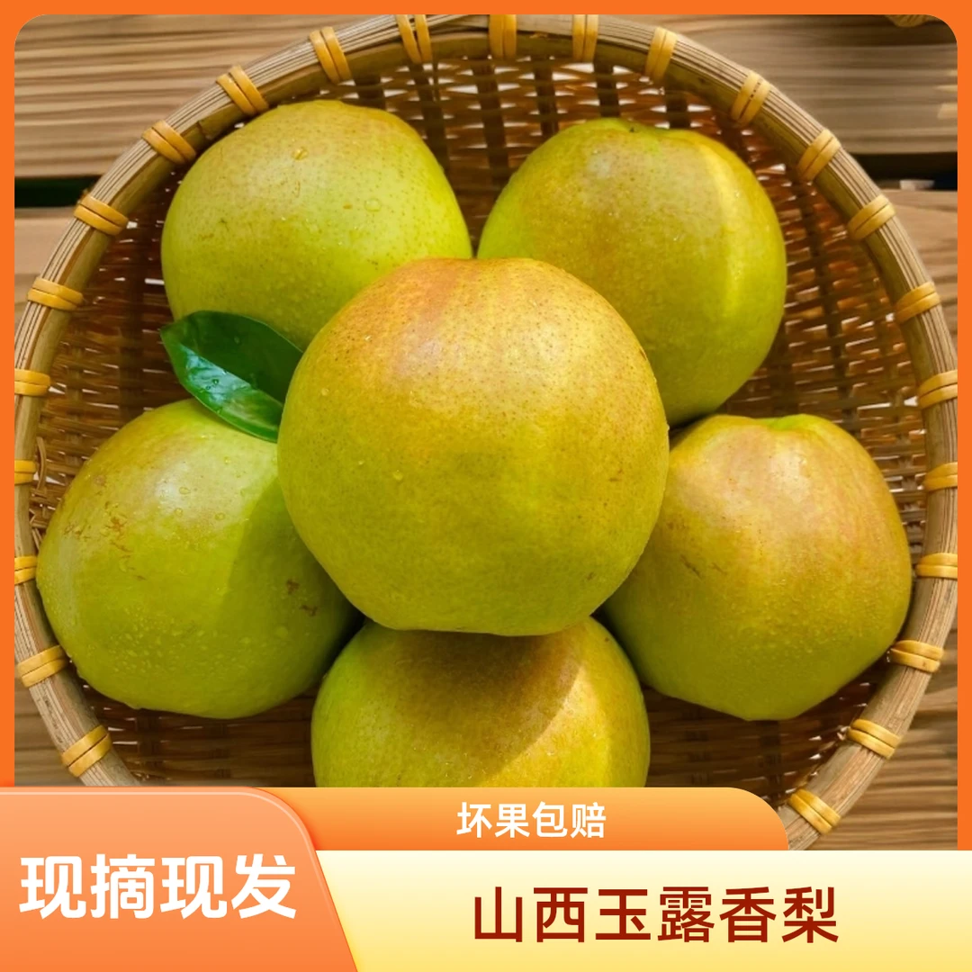 顺丰【山西玉露香梨】梨中贵族现摘现发原产地直发应季水果坏果包赔