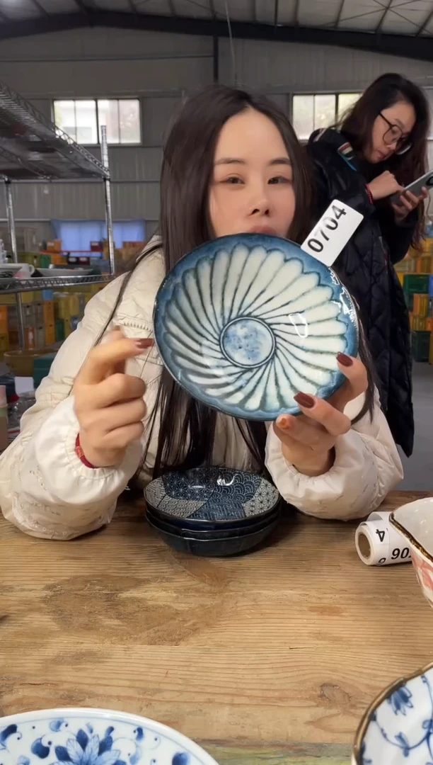 【闪购商品】瓷片704号       17*5.5