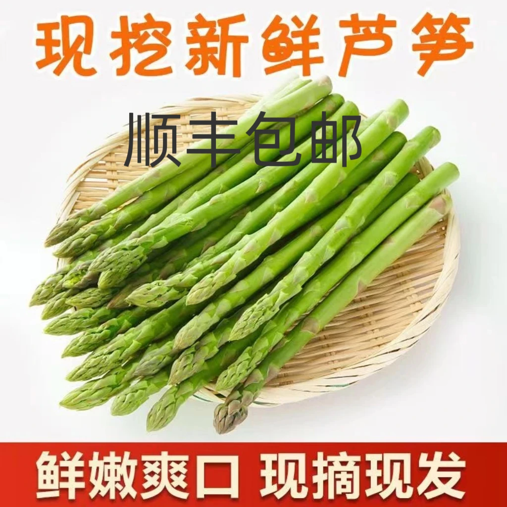 新客专享顺丰包邮上海崇明头茬芦笋现采现发绿芦笋龙须菜新鲜芦笋