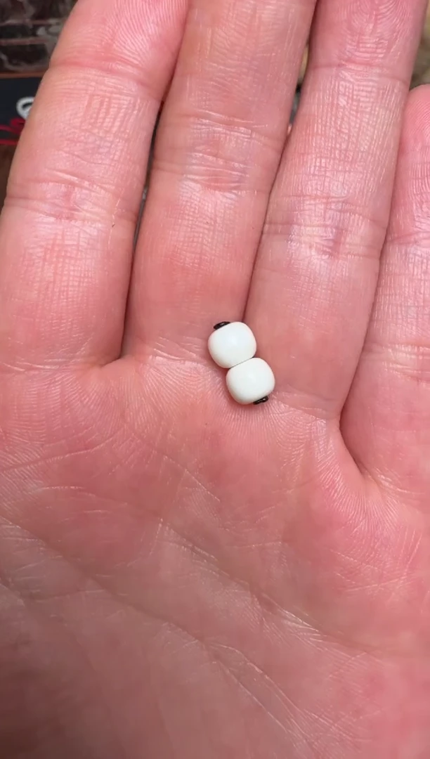 【闪购商品】蜜蜡颈饰未镶嵌蜜蜡珠一对