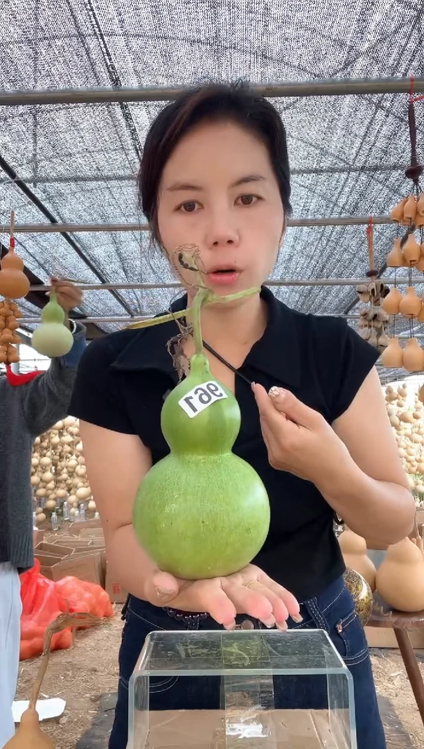 961天然葫芦摆件 一物一拍龙头不保售后微瑕疵