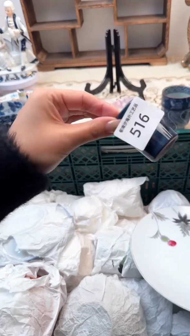 【闪购商品】瓷片Z           516