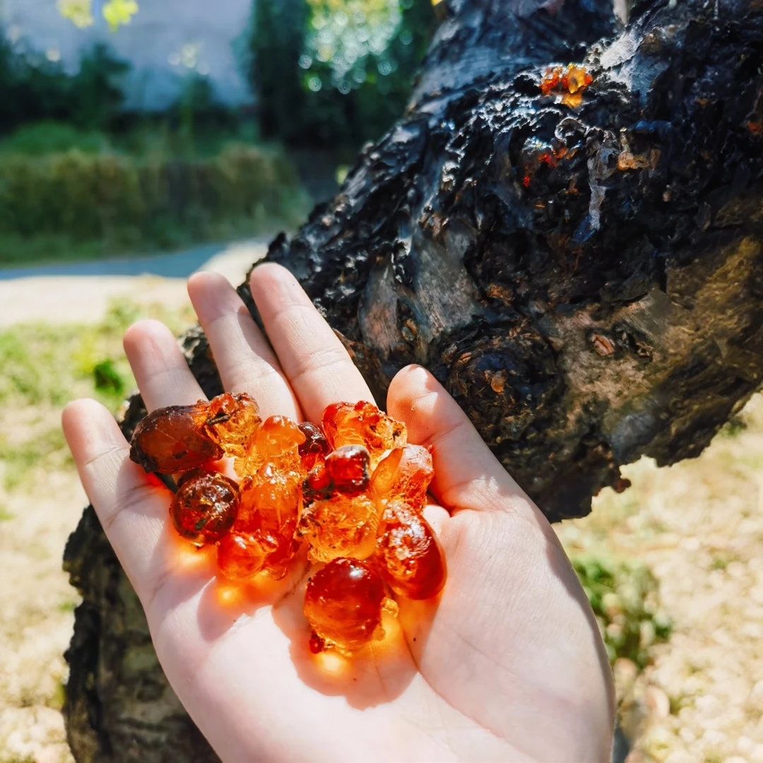 农家自晒天然老树黄红桃胶搭配雪燕皂角米银耳
