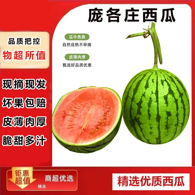 【直播间专享】净重  3-4斤【1粒尝鲜装】庞各庄西瓜 L600 小时达新鲜西瓜同城配北京市