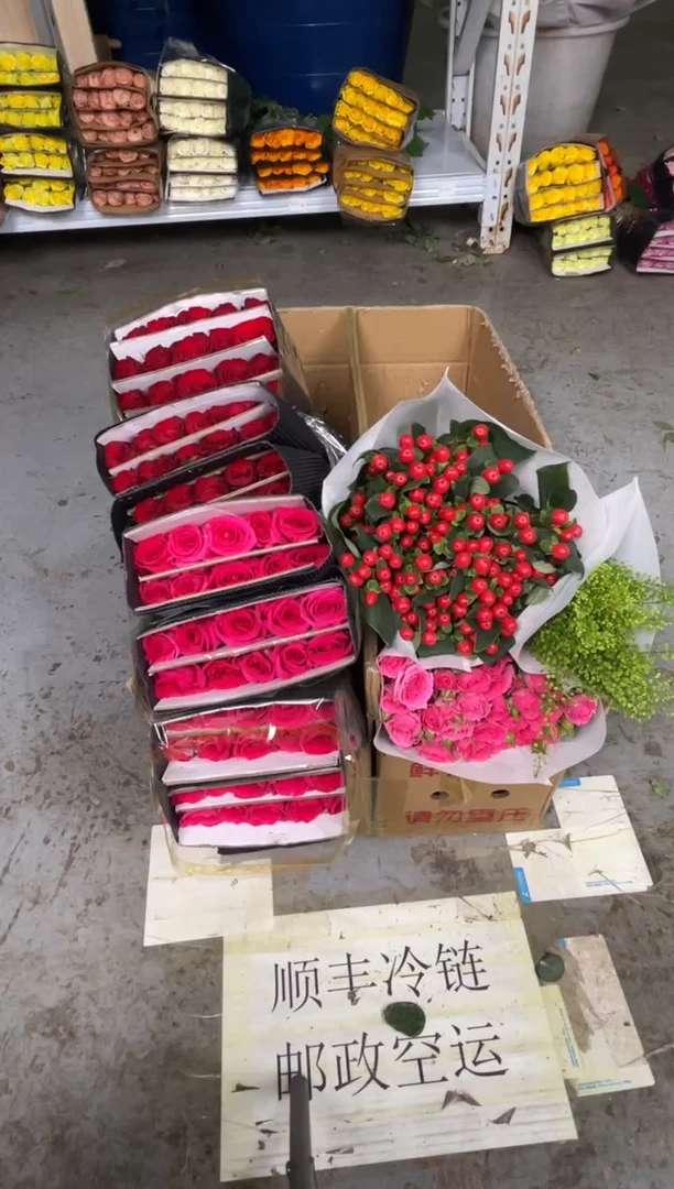 佛洛依德2扎+苏菲1扎+高原红2扎+红豆1+绿林草