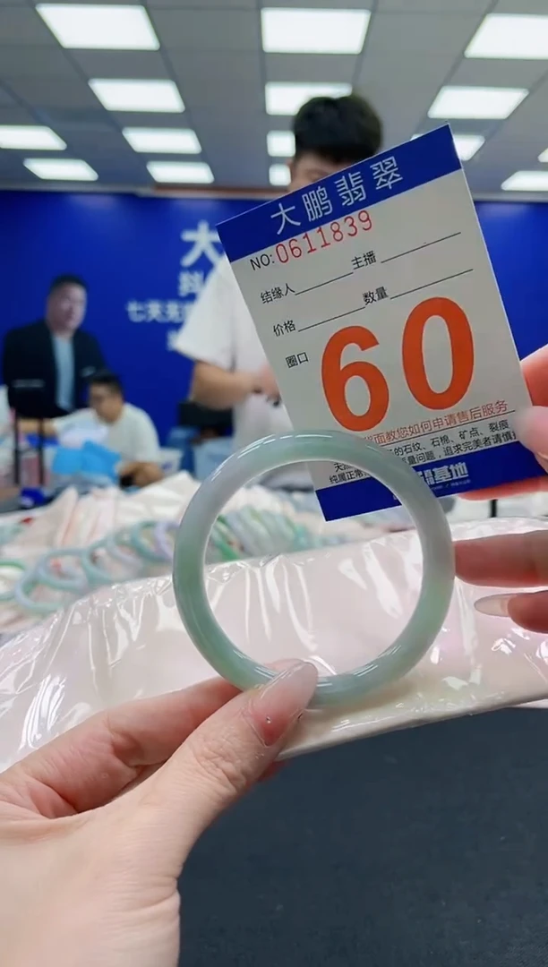 未镶嵌手镯翡翠AAAAAAAAA