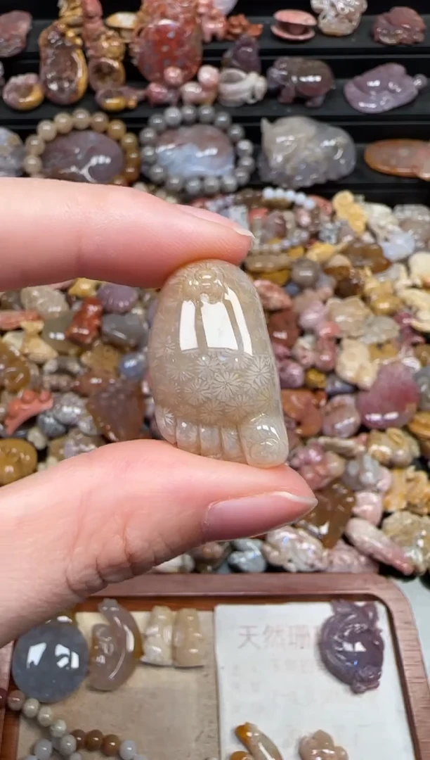 颈饰未镶嵌硅化珊瑚（珊瑚玉）610