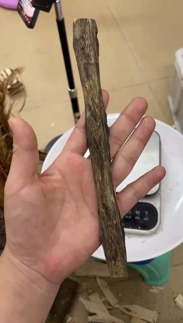 沉香沉香碎屑棋楠沉香 原料文创1