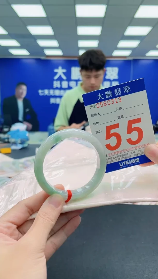 未镶嵌手镯翡翠AAAAAAAAA