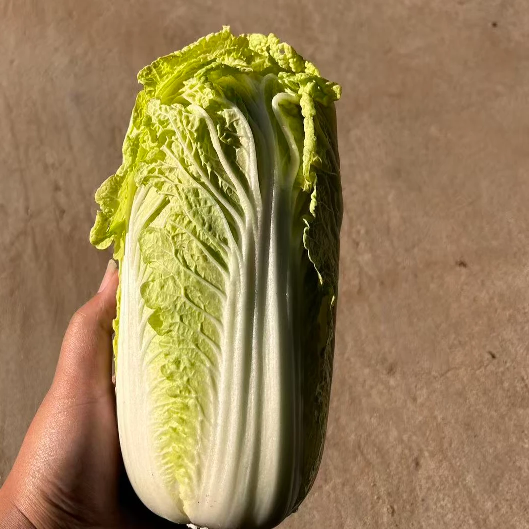 现砍现发新鲜娃娃菜娃娃菜