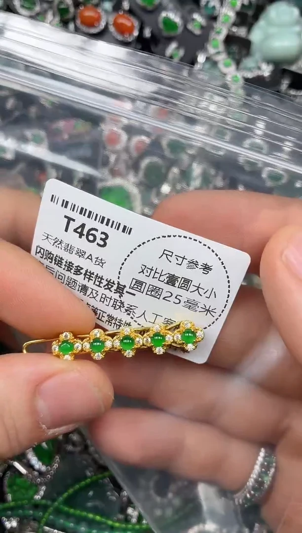 颈饰未镶嵌翡翠T463发夹