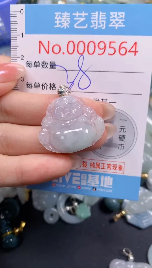 颈饰未镶嵌翡翠9564