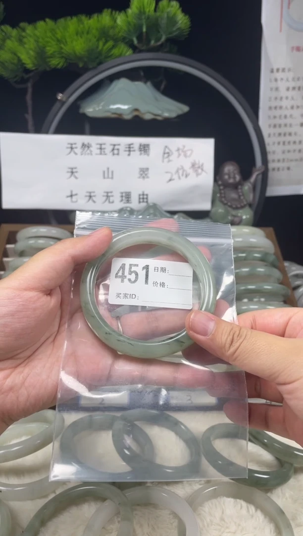 未镶嵌手镯石英质玉（天山翠）451