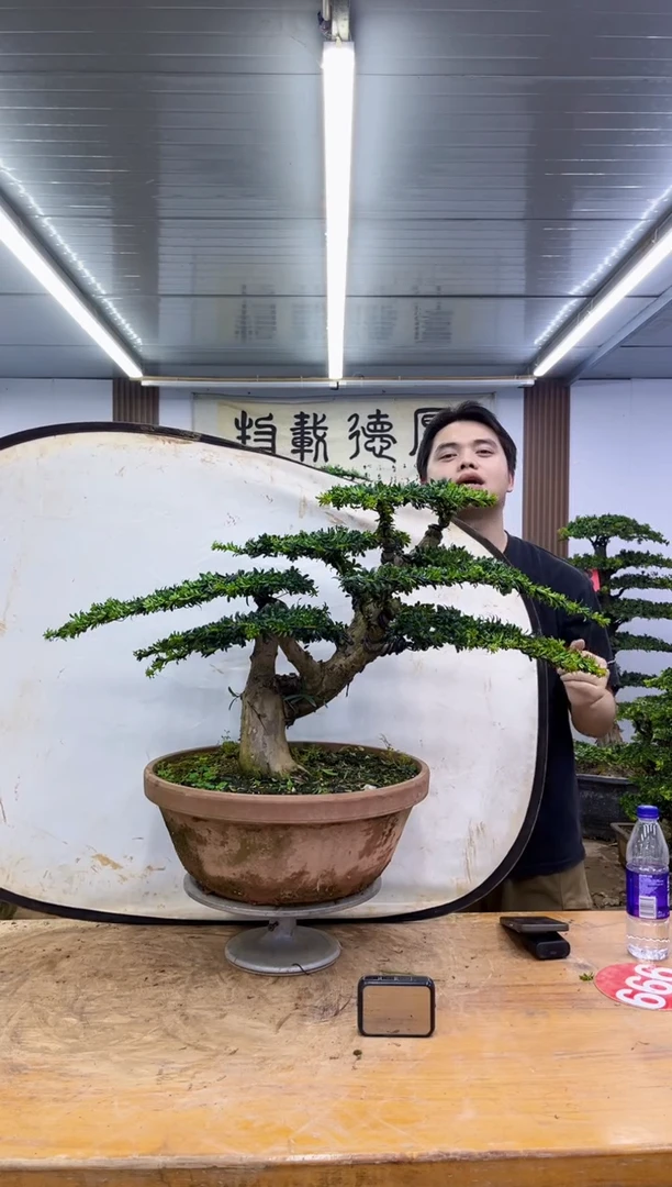 无花朵000000000000000