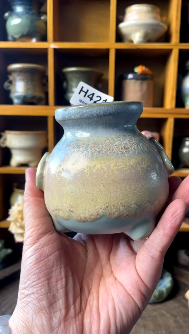 x*421【多肉花盆多肉盆】