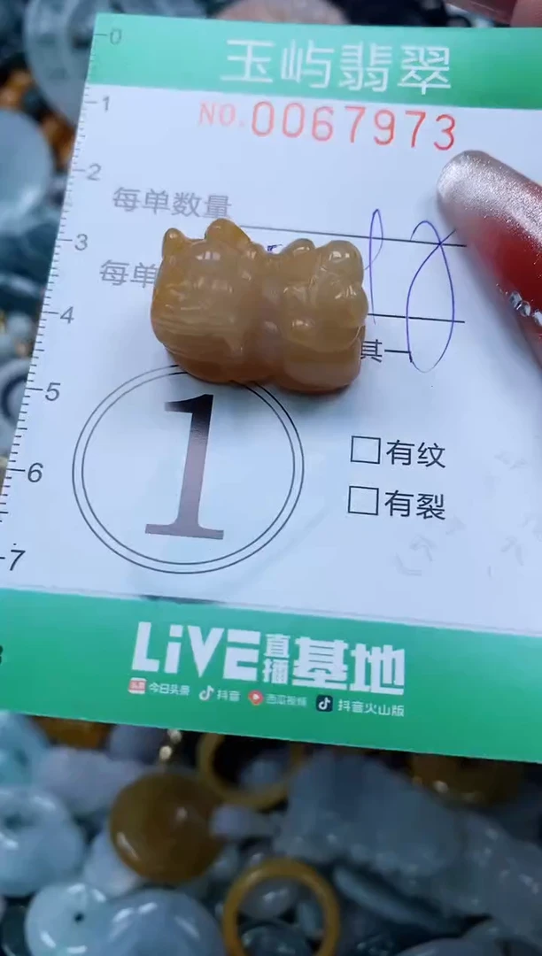 【闪购商品】翡翠颈饰未镶嵌闪购0067973