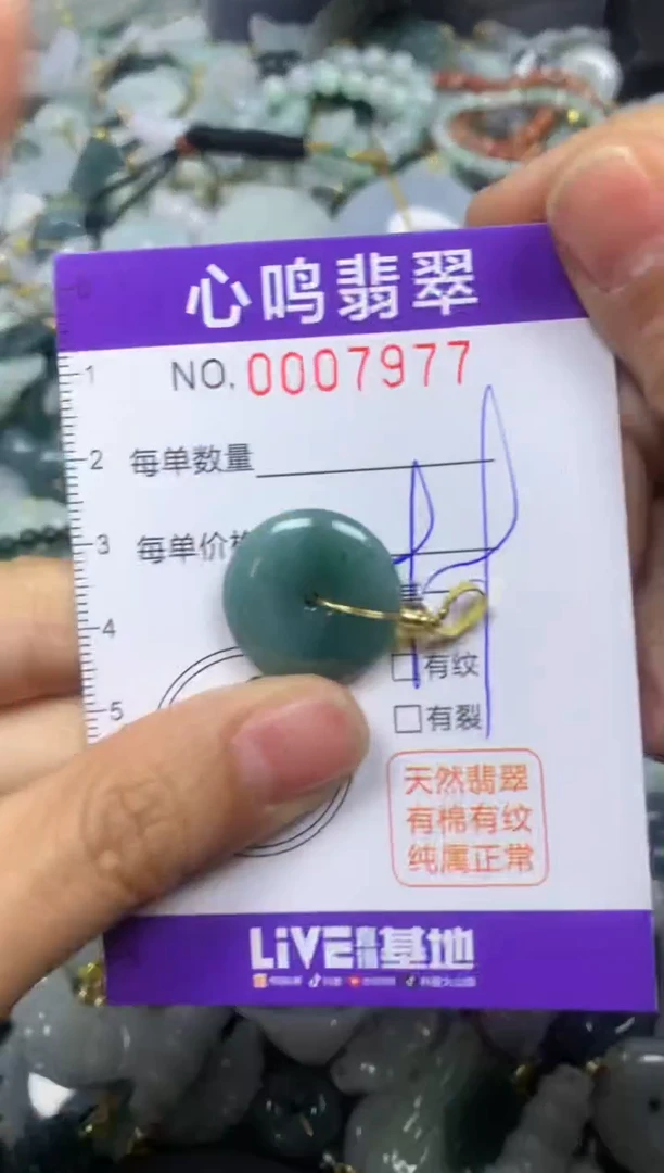 【闪购商品】翡翠颈饰未镶嵌闪购007977