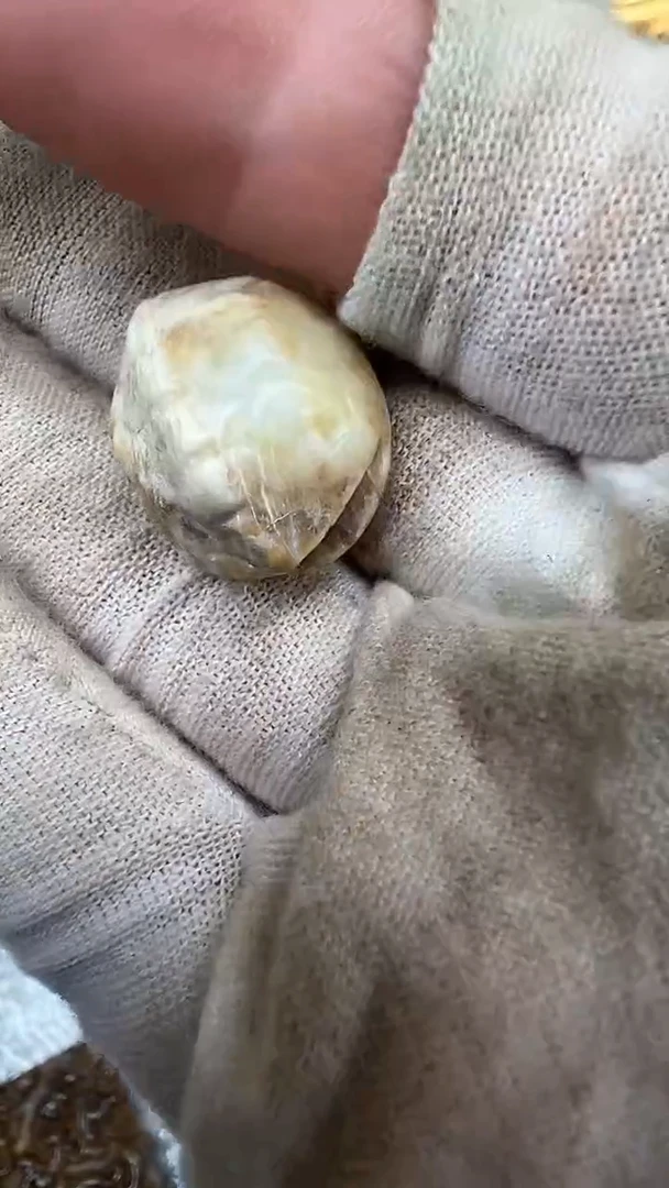 未镶嵌和田玉（糖玉）挂件摆件aaaaaaaaaaaaa