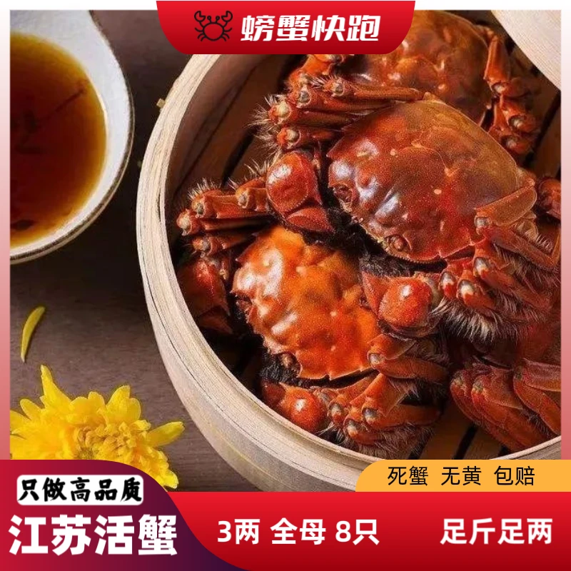 【活蟹】江苏大闸蟹3两全母8-10只，礼盒装