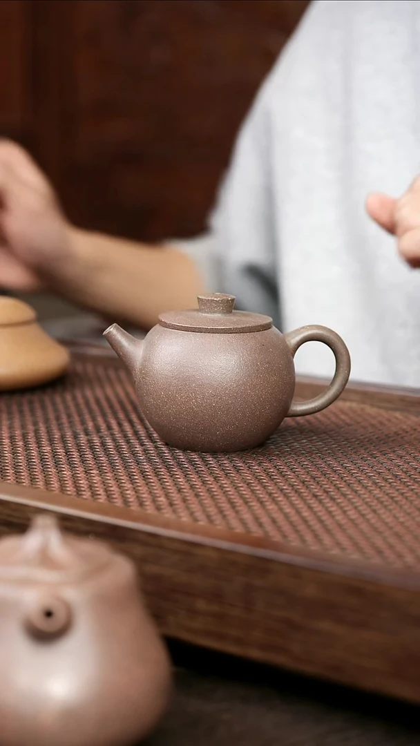 茶壶紫砂岩中泥巨轮