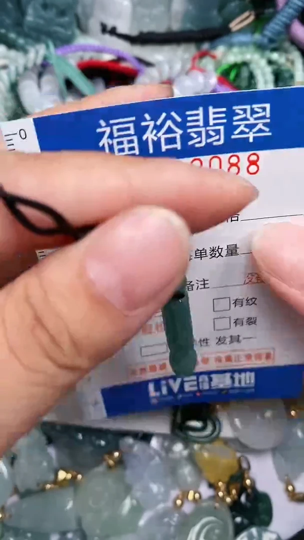 翡翠未镶嵌颈饰...0002088