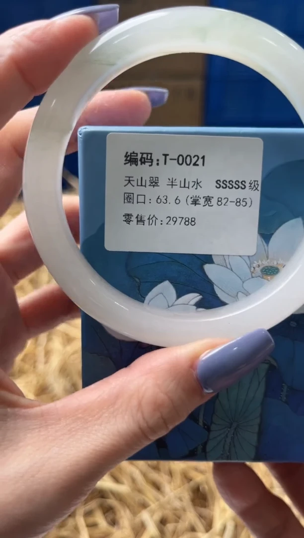 未镶嵌手镯石英质玉T0021