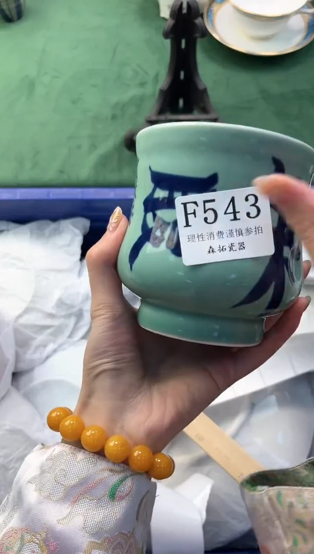 【闪购商品】瓷片          F543