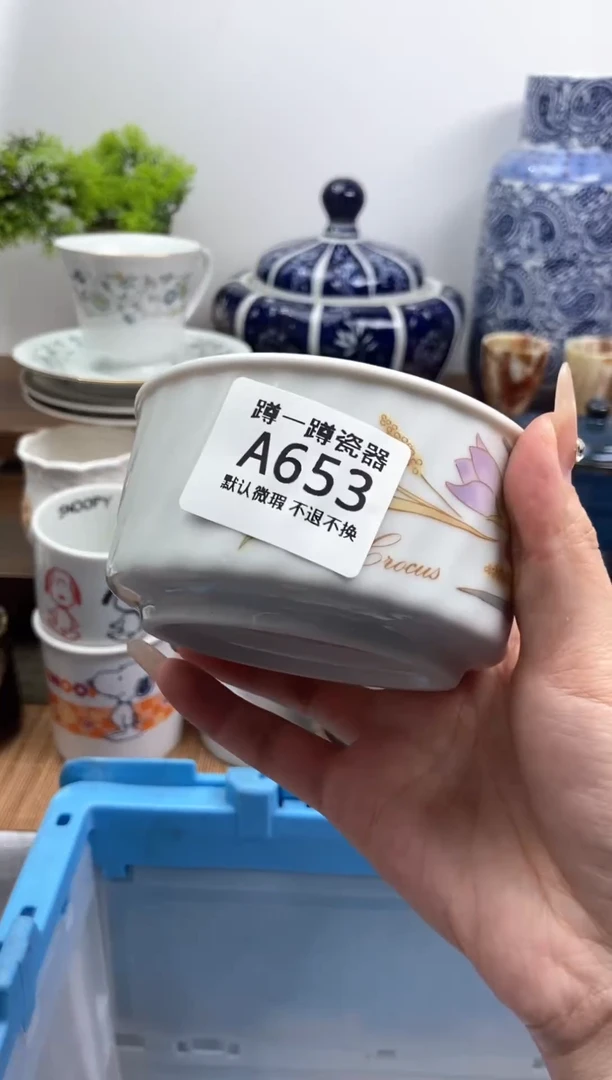 【闪购商品】瓷片653满15包邮默认微瑕不退不换