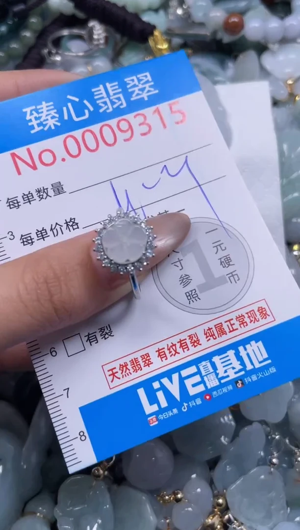 颈饰未镶嵌翡翠9315