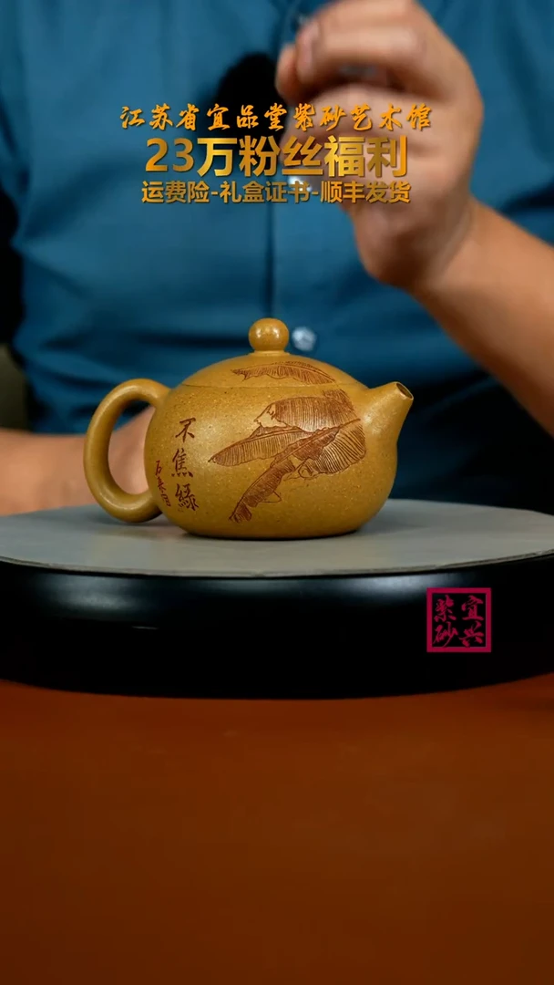 茶壶紫砂李传荣黄金段不蕉绿西施250CC