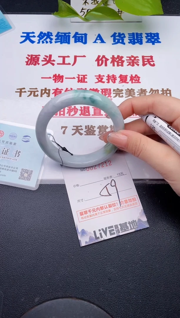 未镶嵌手镯翡翠12
